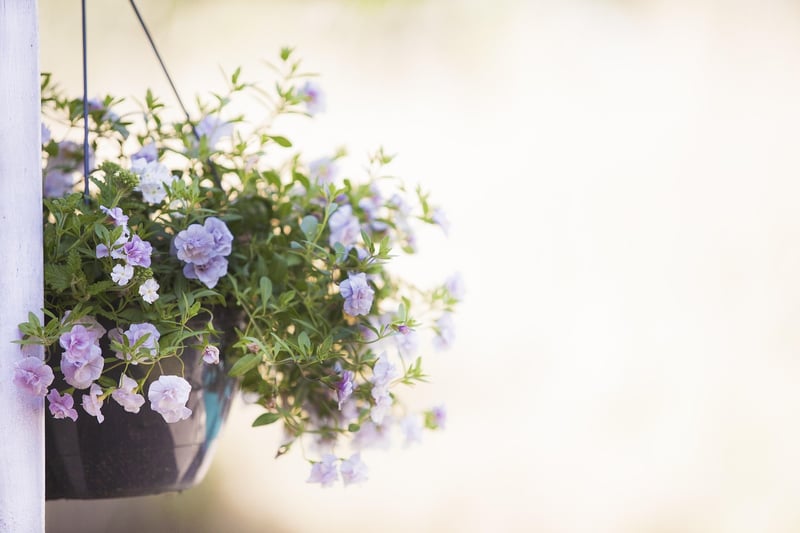Personalized Pots