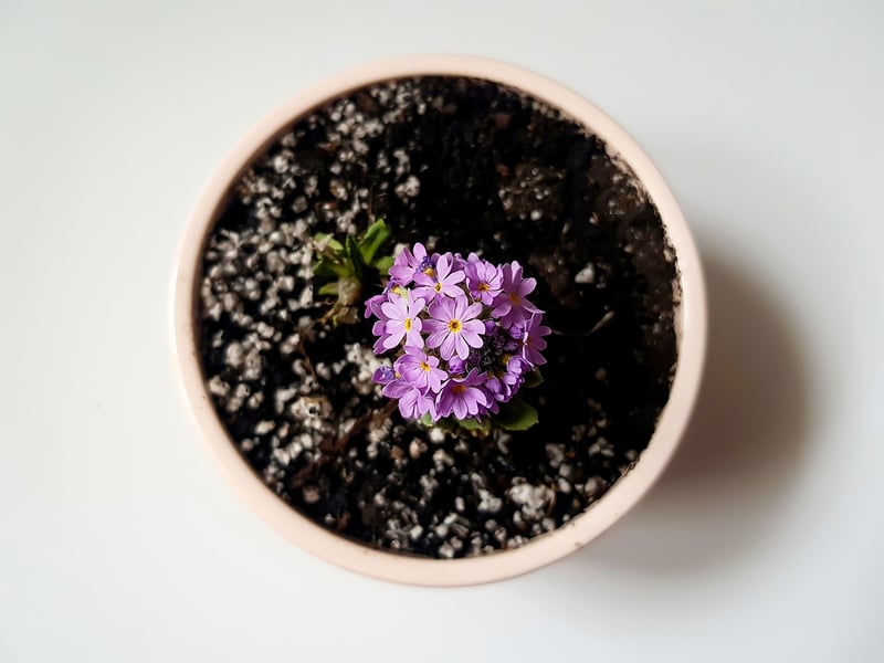 Personalized Pots
